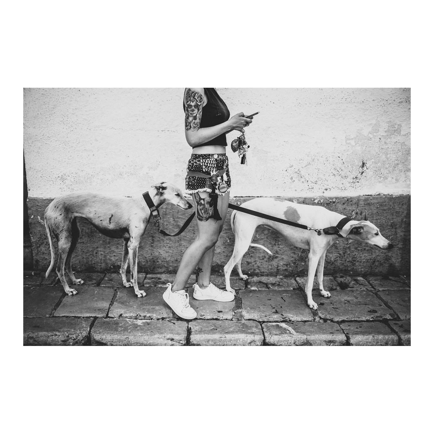 Dog ville photo print by Thomas Vilhelm