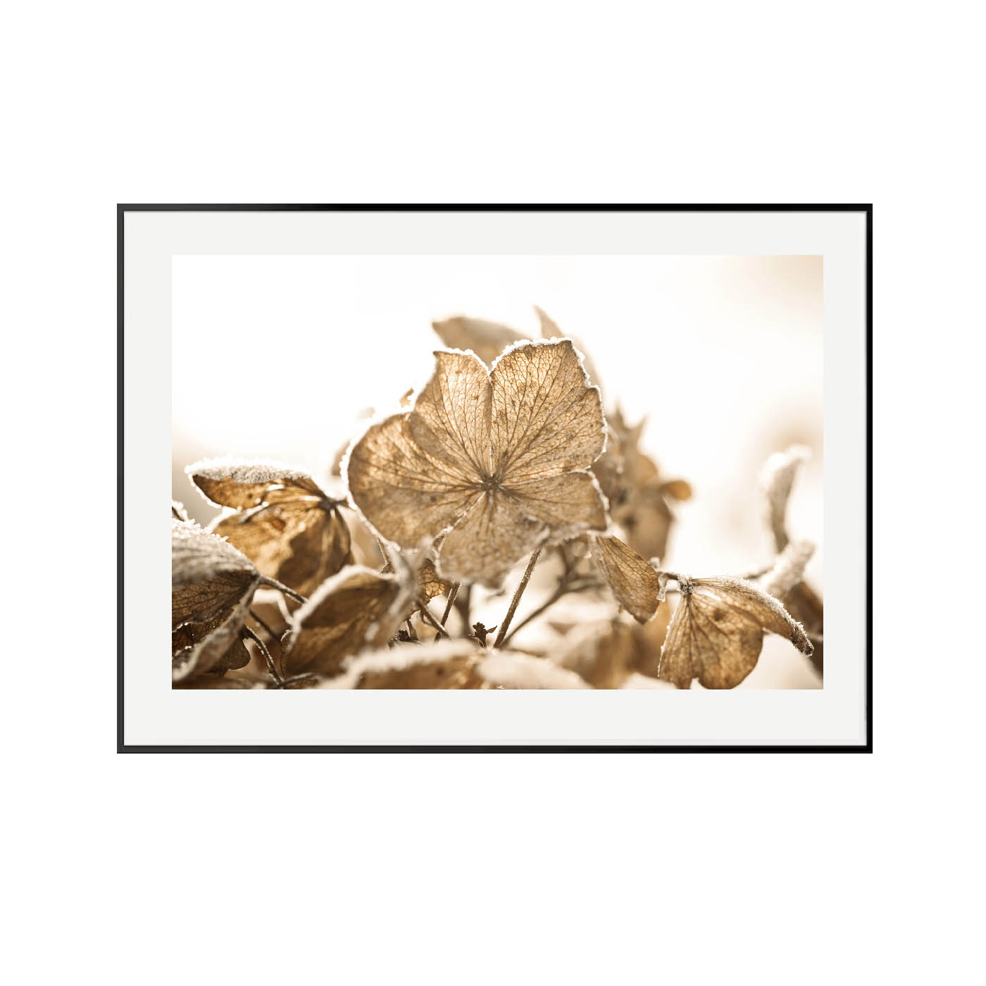 Frosty Leaves - Image 3