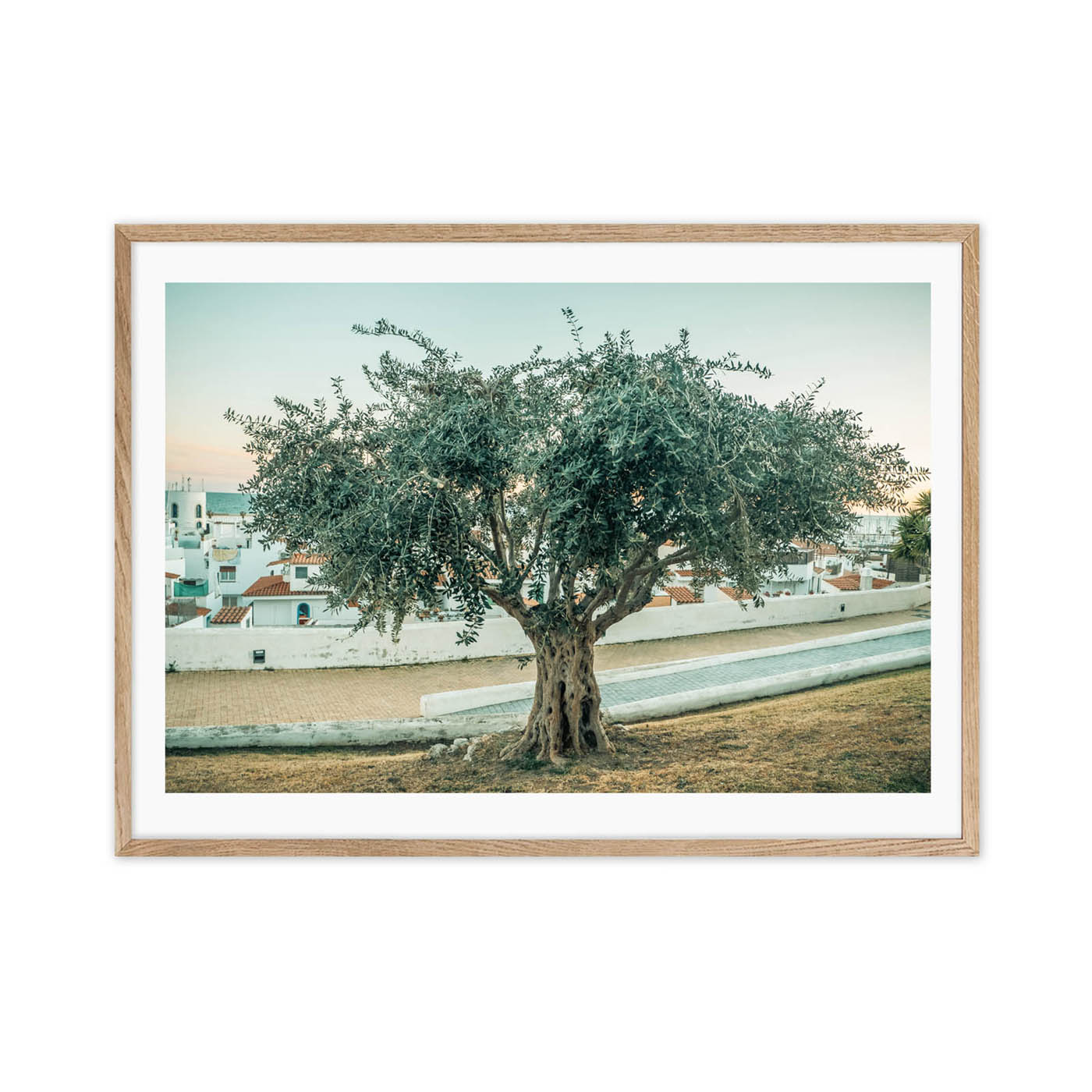 The Olive Tree - Image 3