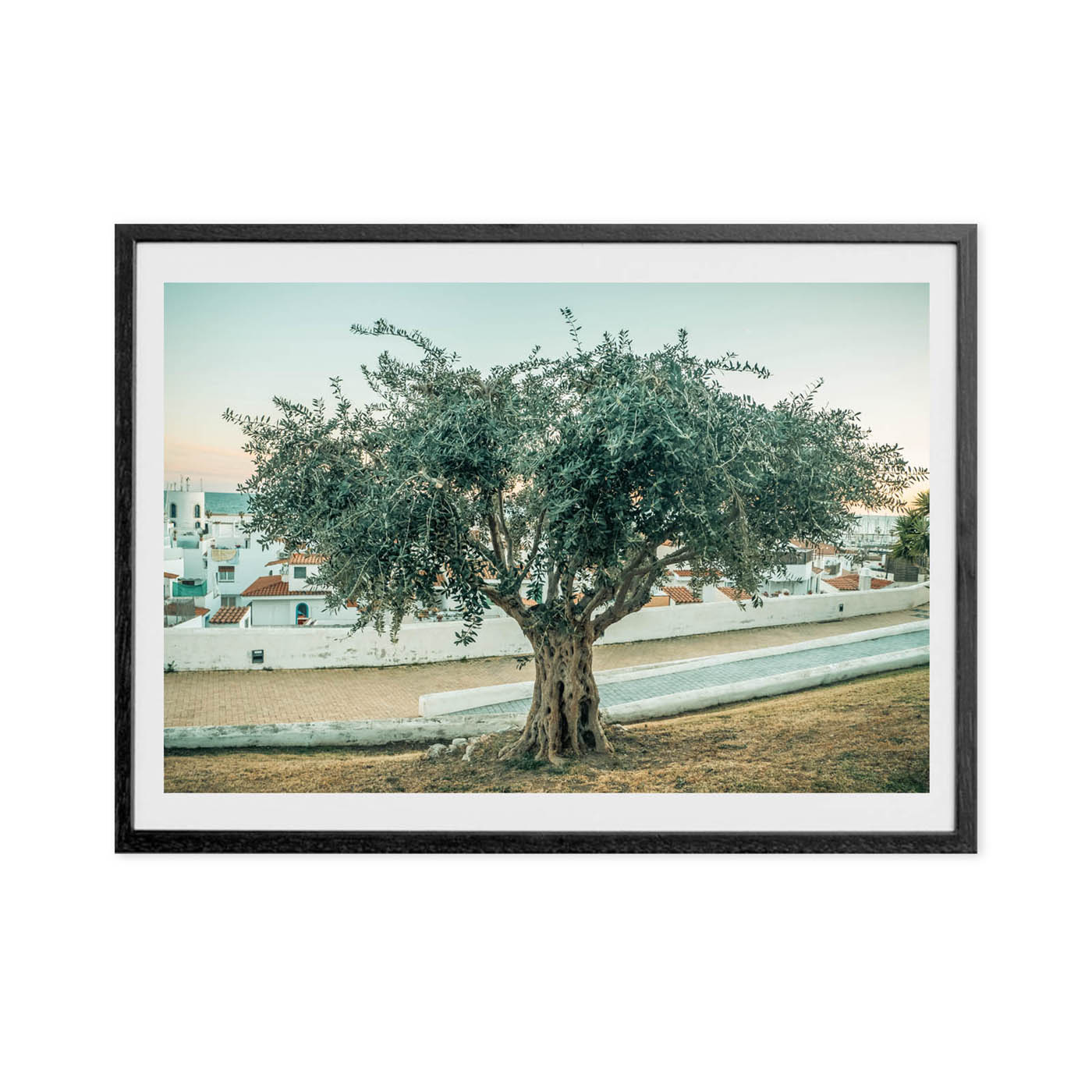 The Olive Tree - Image 5