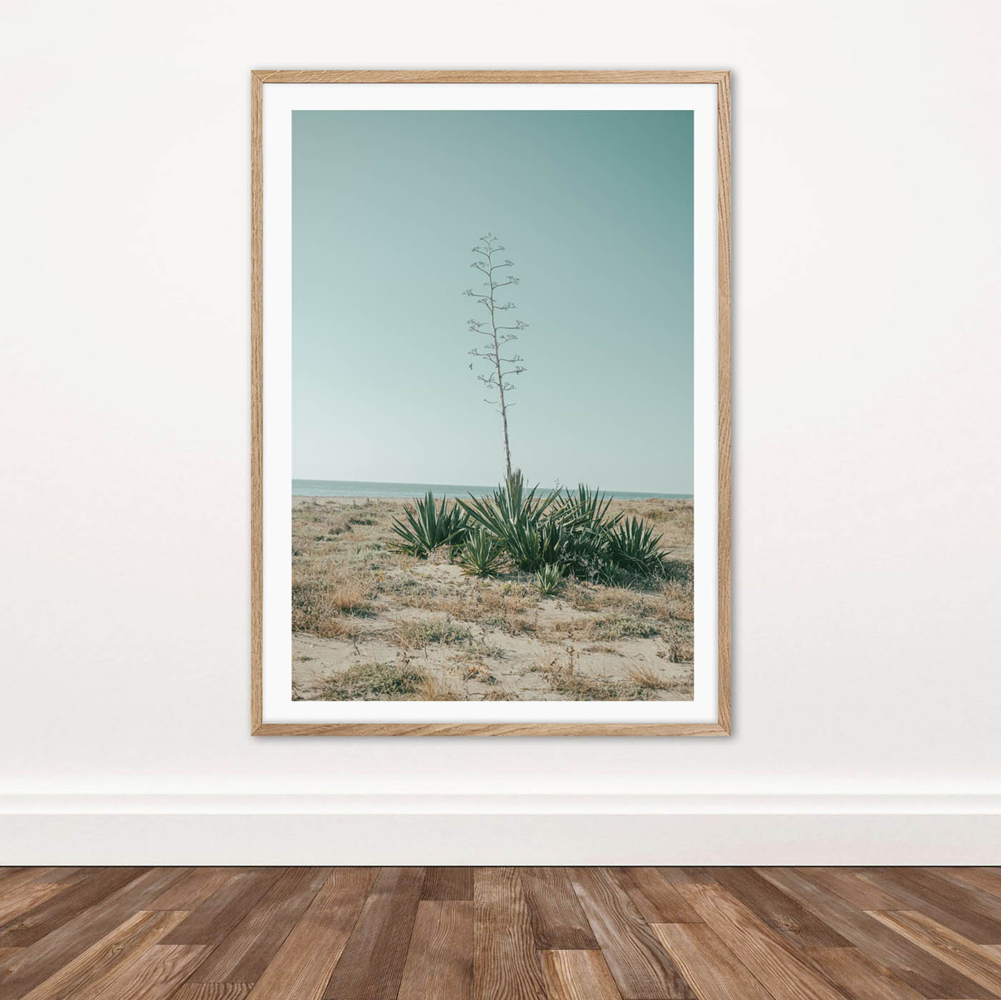 Nido del cactus - Image 3