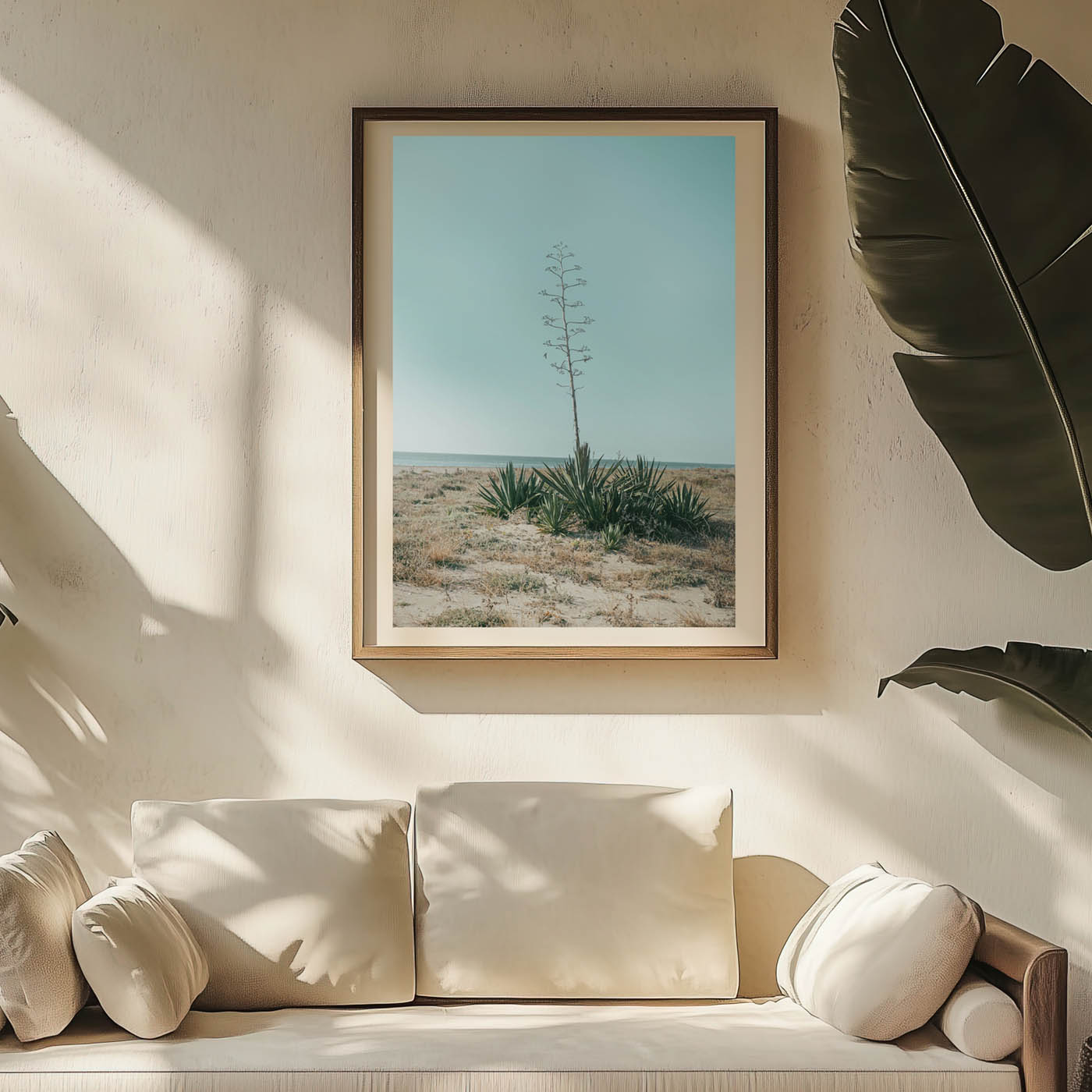 Nido del cactus - Image 4