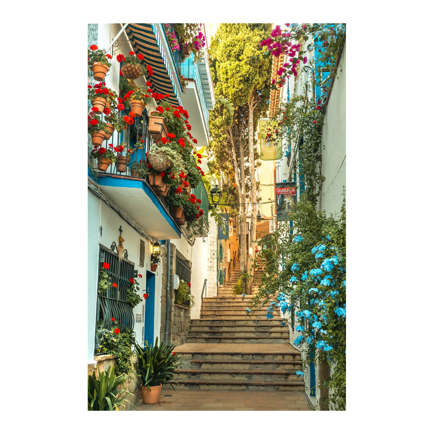 Flower street in Sitges