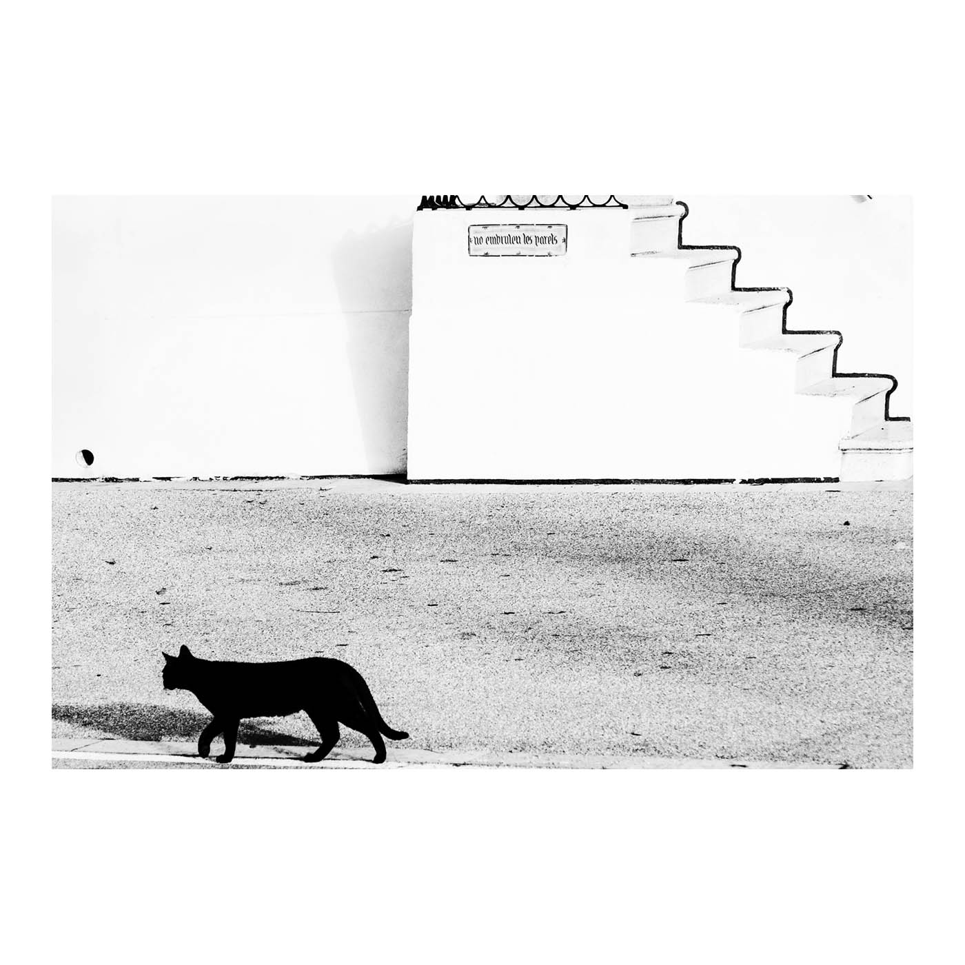Cat in Sitges