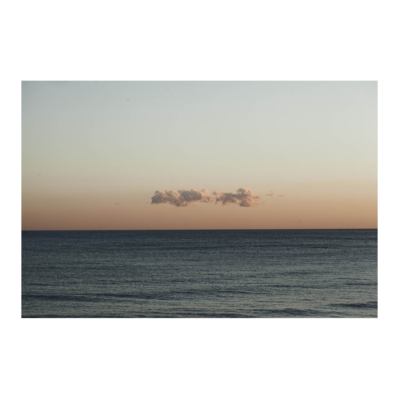 Photo by Thomas Vilhelm