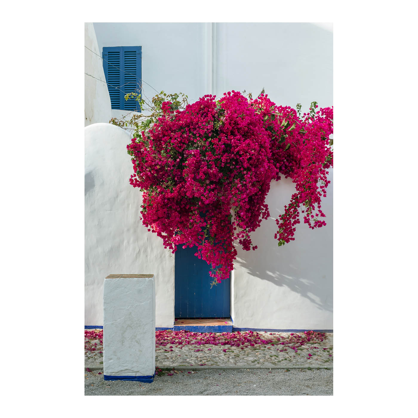Buganvilla de Sitges