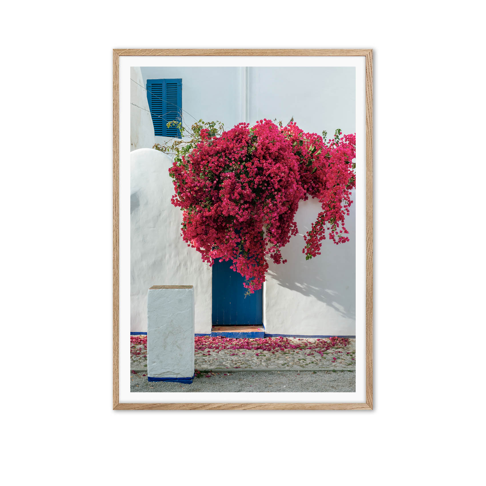 Buganvillas - Image 3