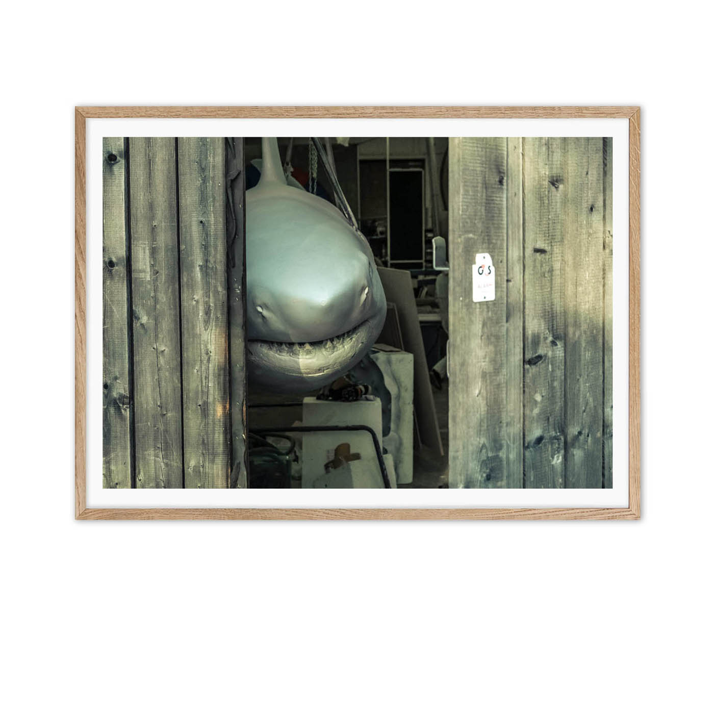 Tiburón - Imagen 4