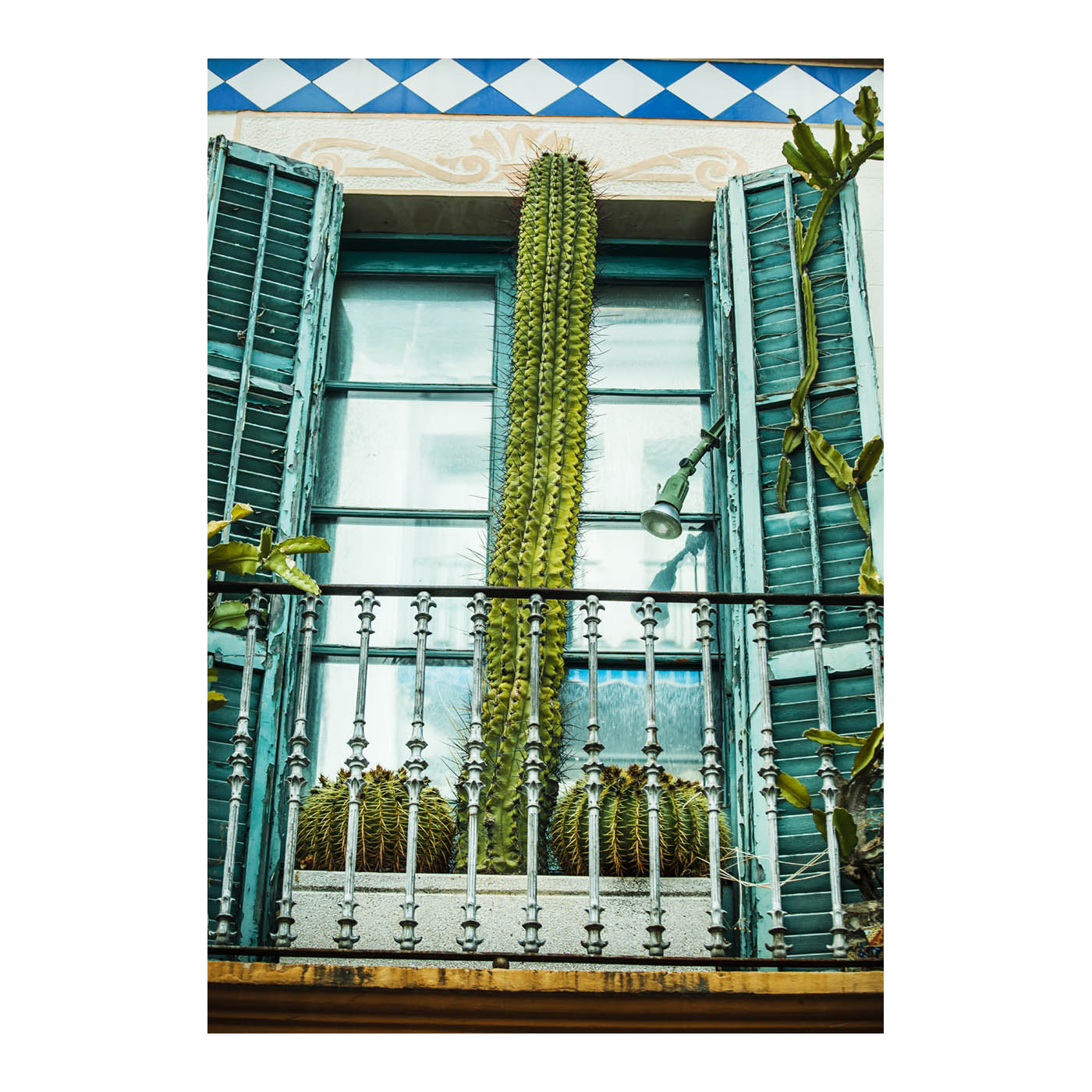 Poster de cactus en Sitges