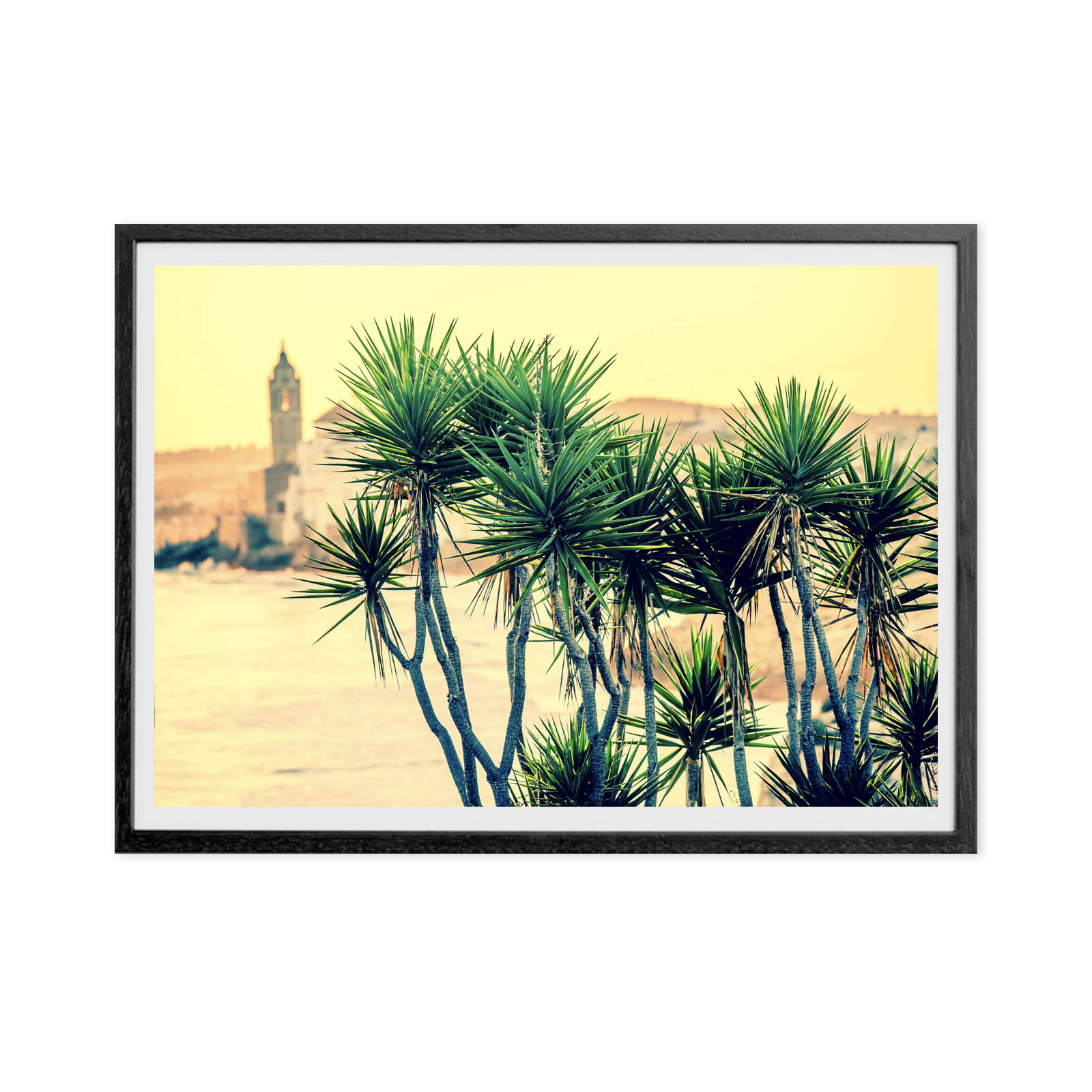 Cactus in Sitges - Image 3