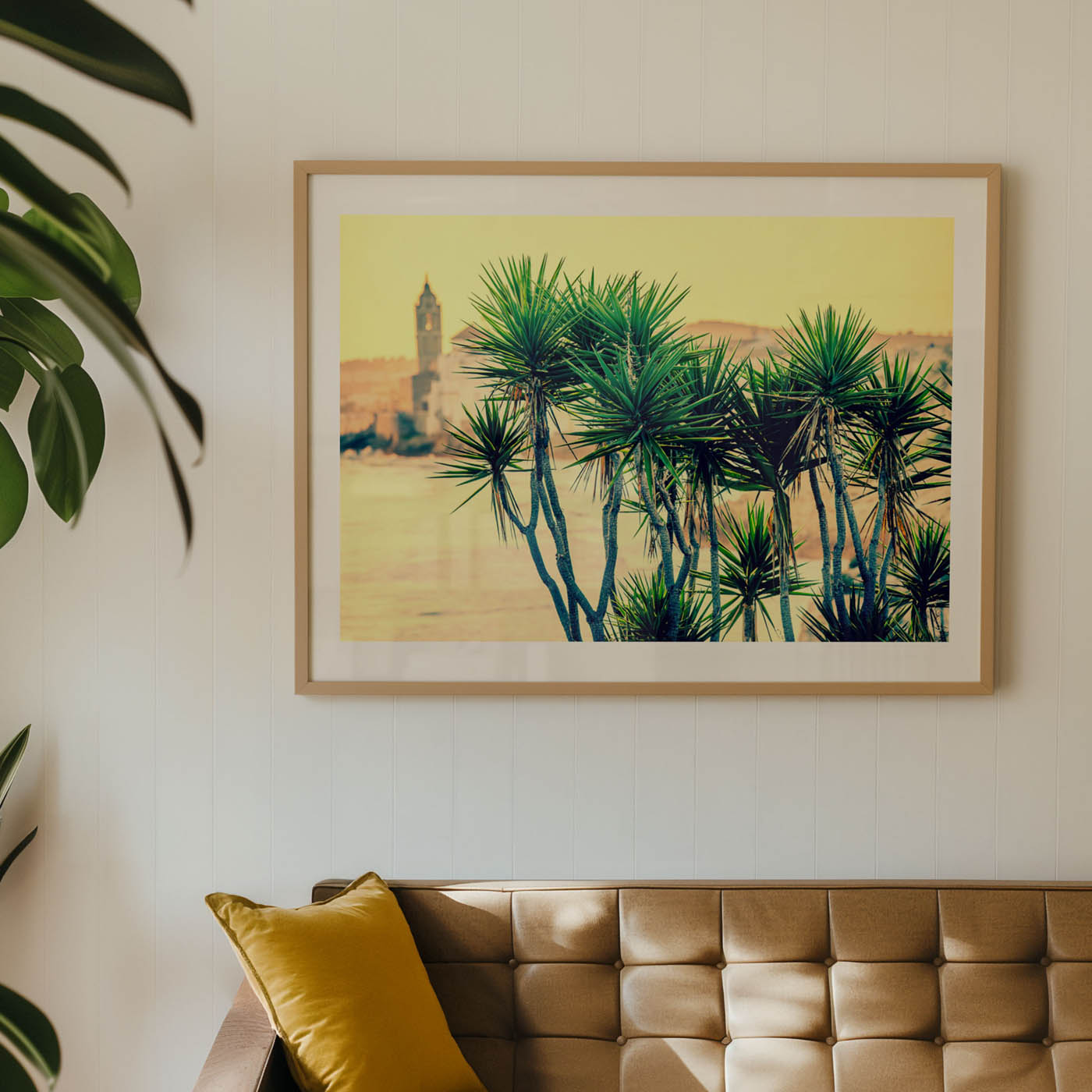 Cactus in Sitges - Image 2
