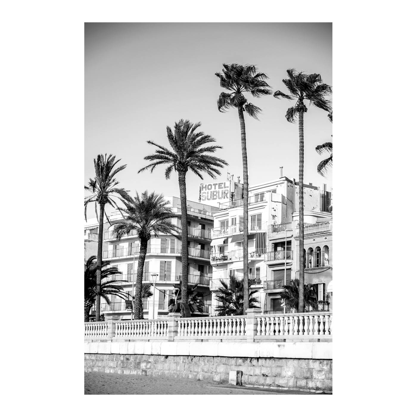 Fotografía de palmeras en Sitges en blanco y negro