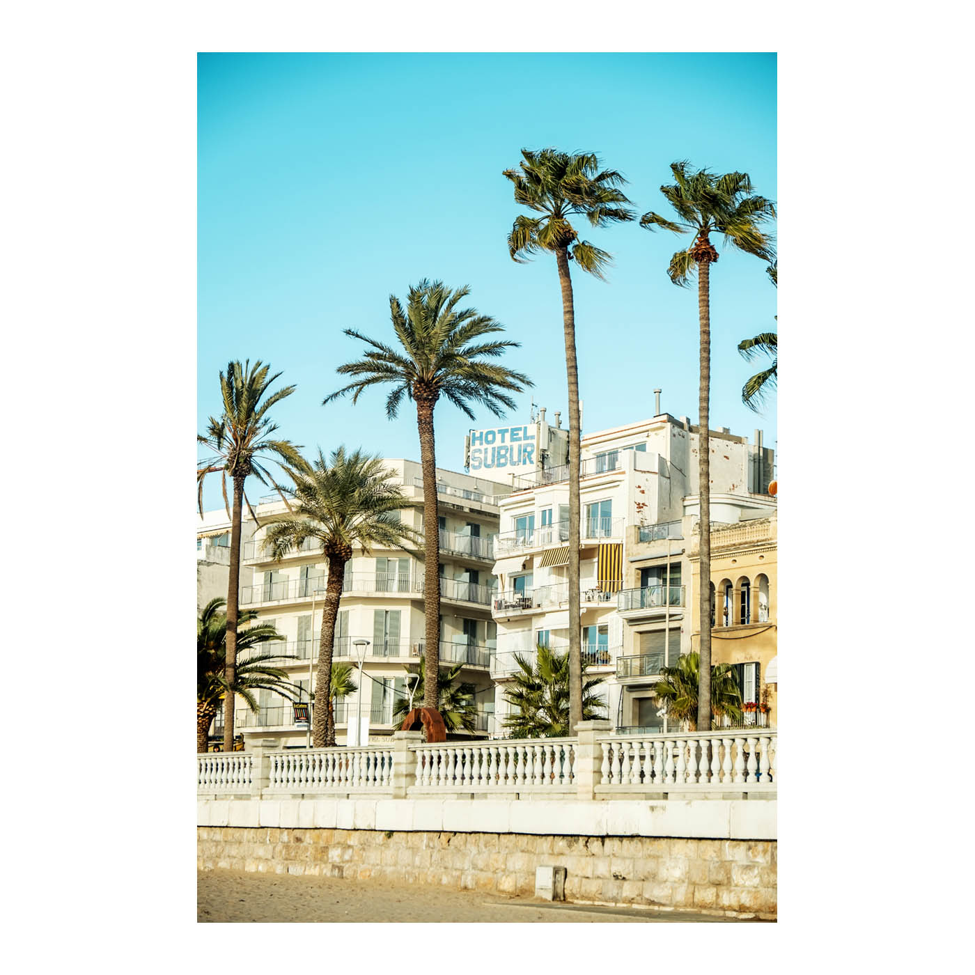 Palmeras en Paseo Marítimo, Sitges