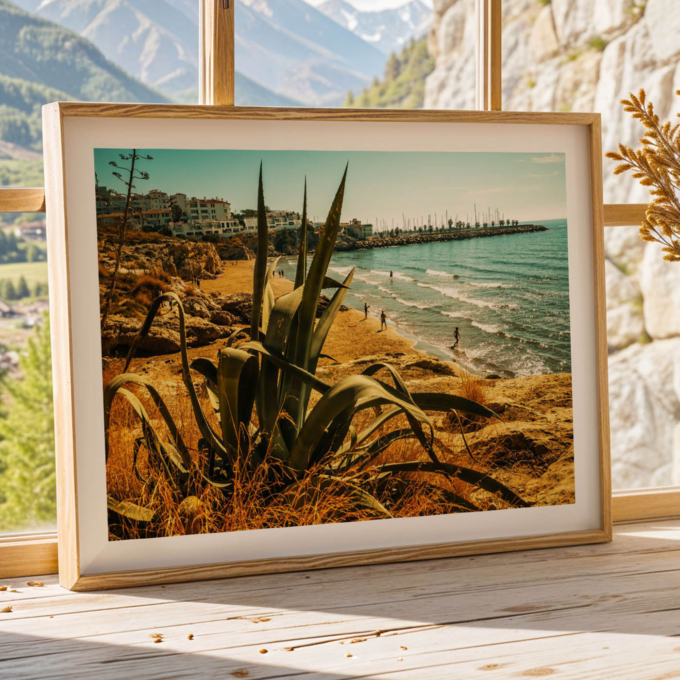 Agave en Sitges - Image 3