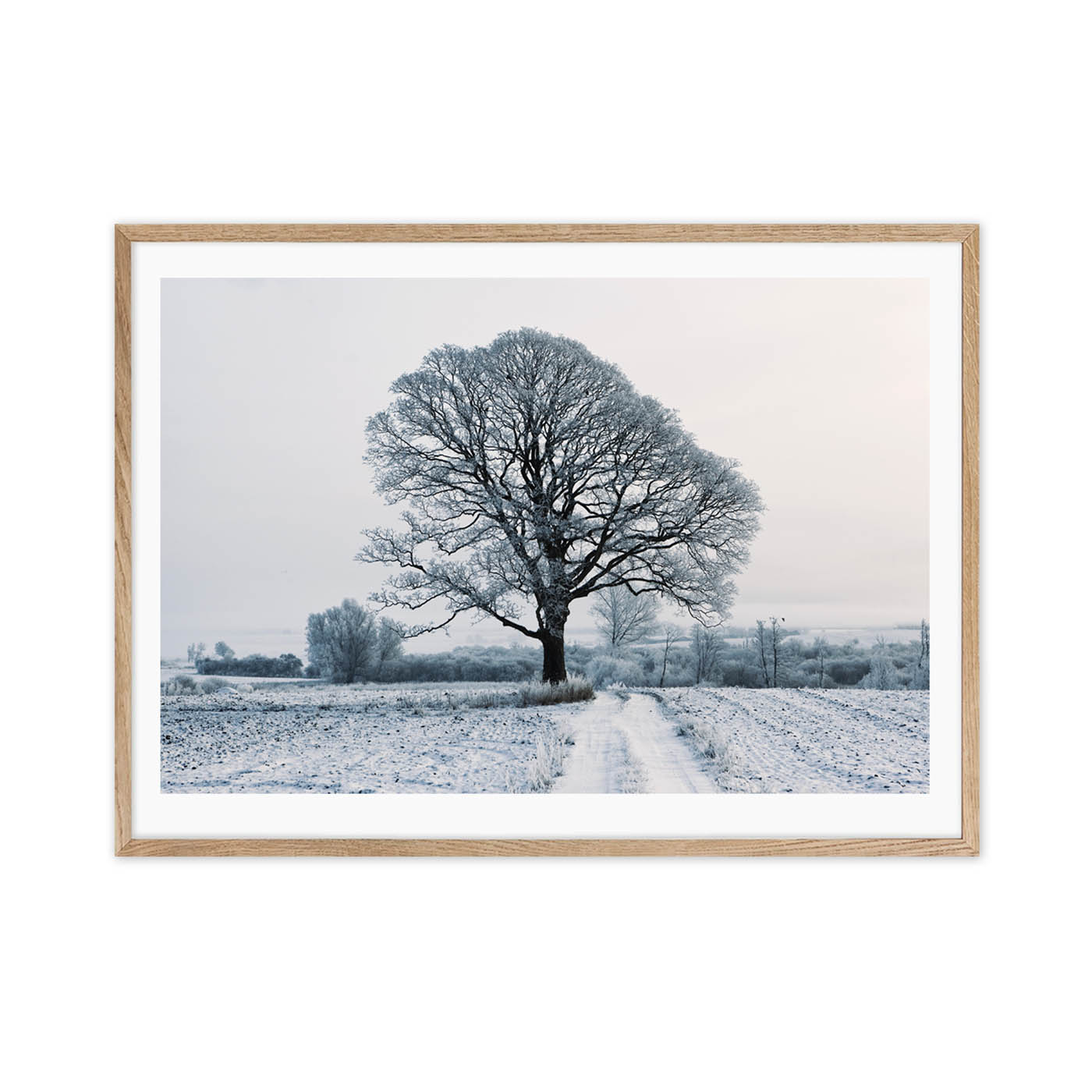 Frosty Tree - Image 3